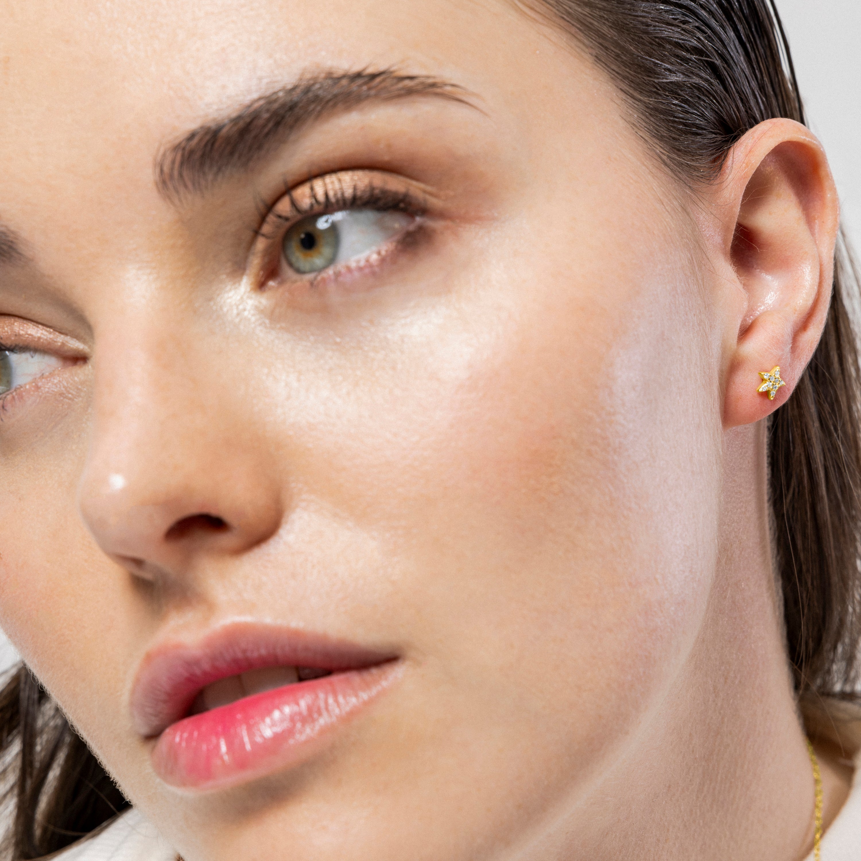 925 Sterling Silver Earrings with Brilliant Zirconia finished in 18K yellow gold - Star