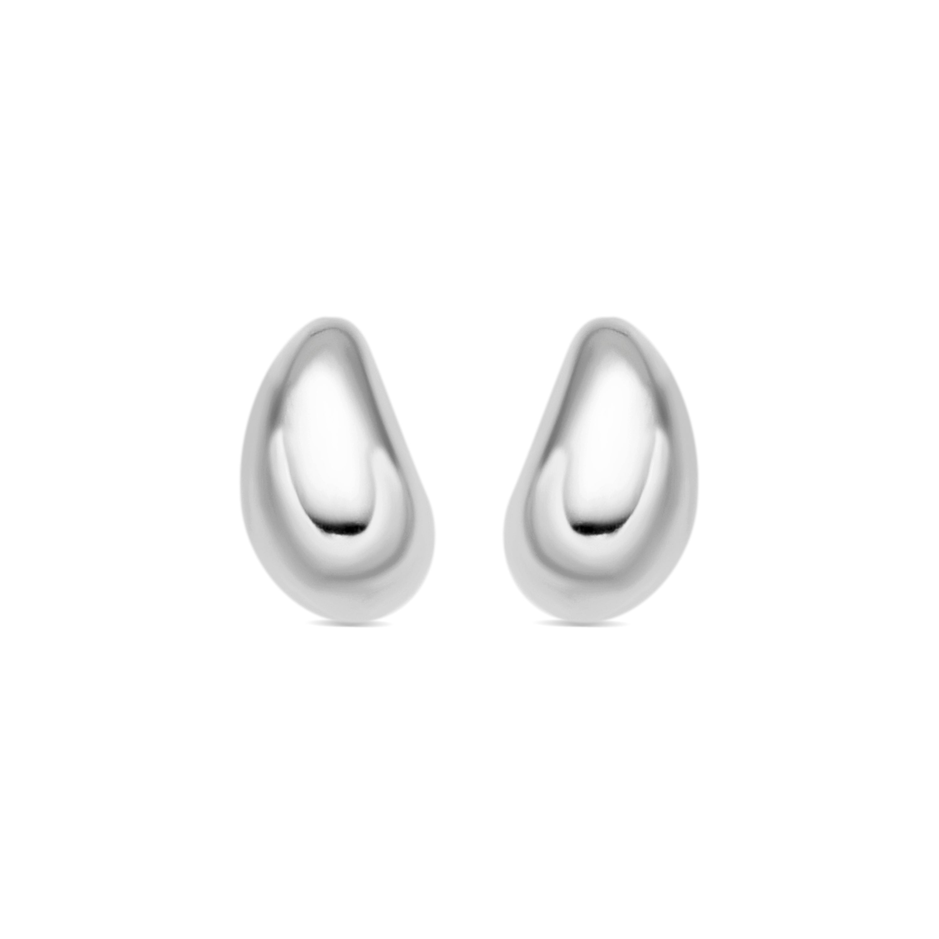 925 Silver Rhodium Finished Earrings - Nokie