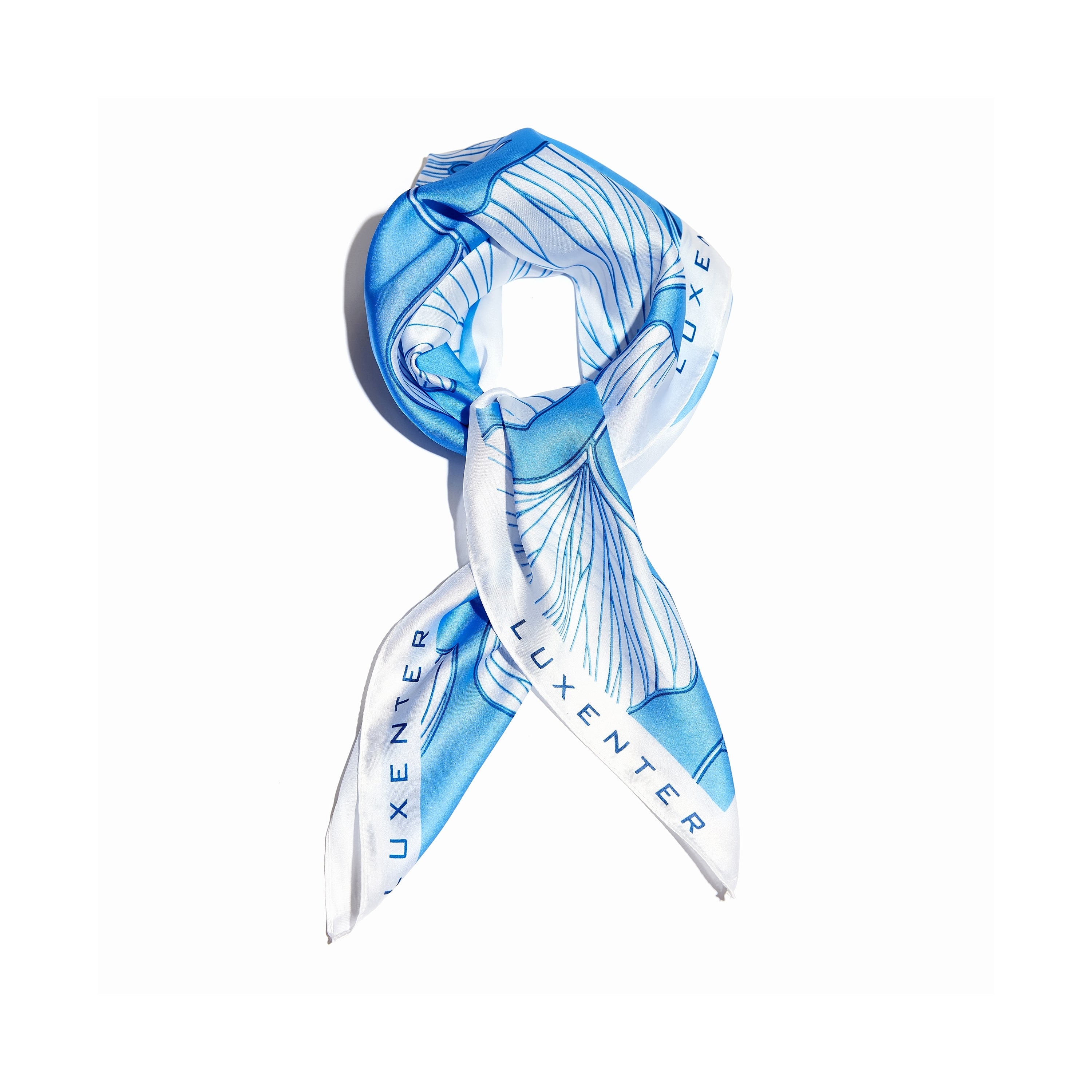 Foulard Blu e Bianco di Seta-Luxenter