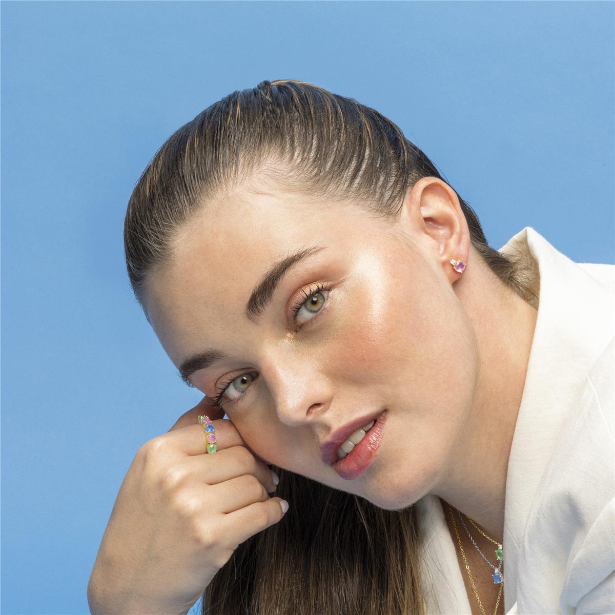 ROSA - vista 10