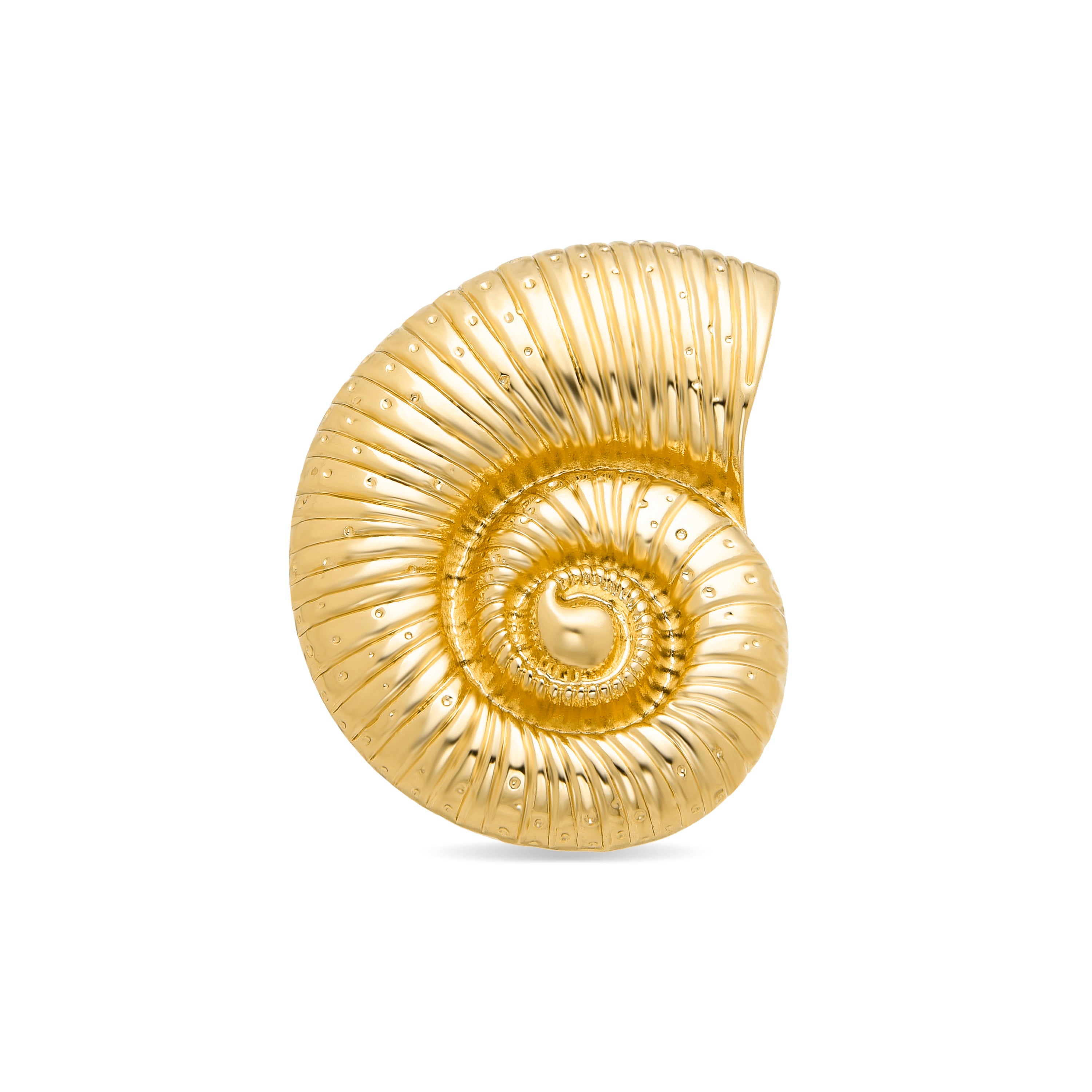 Broche acabado em ouro amarelo 18K - Caracola