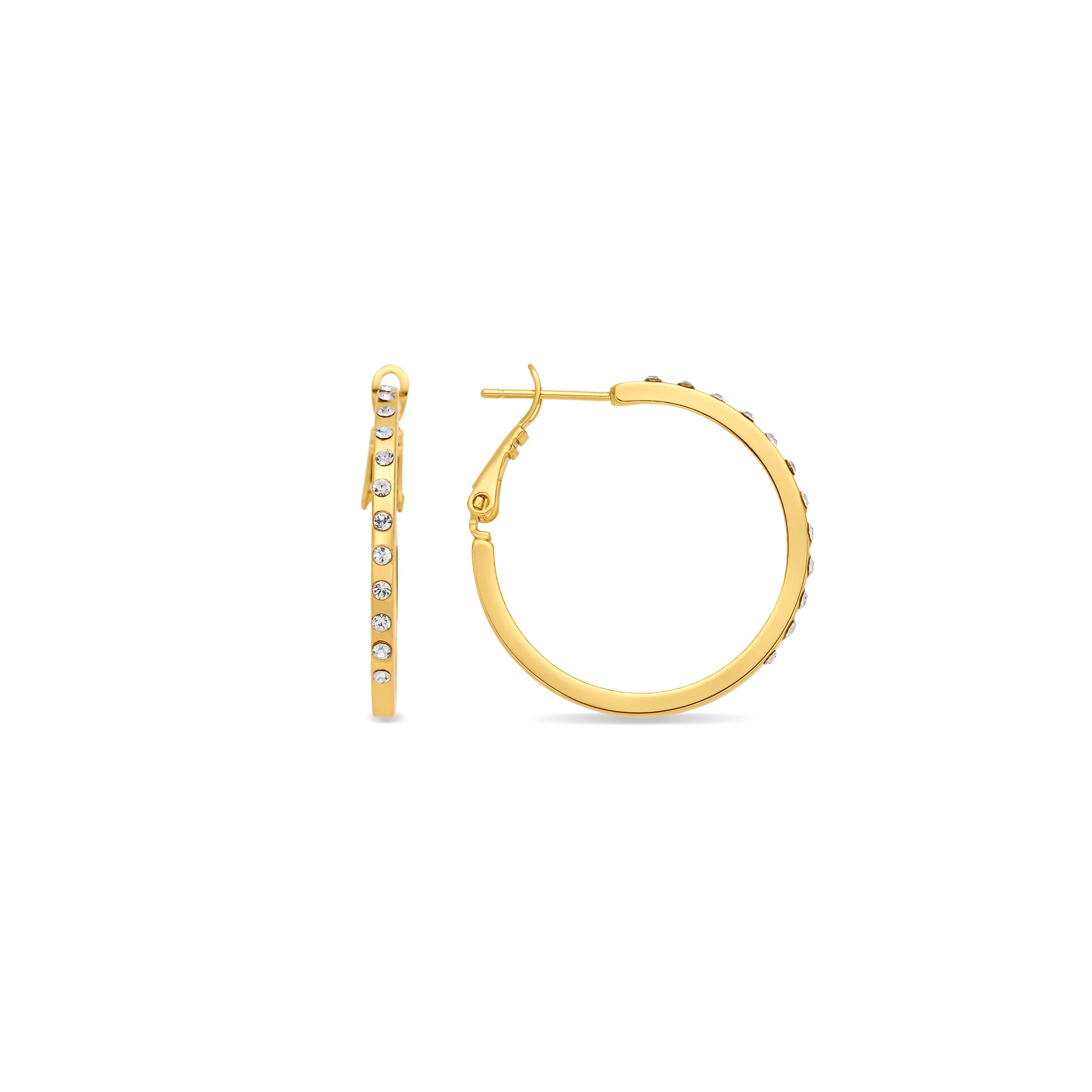 Ani Earrings 18k Yellow Gold Finish - Ani WHITE
