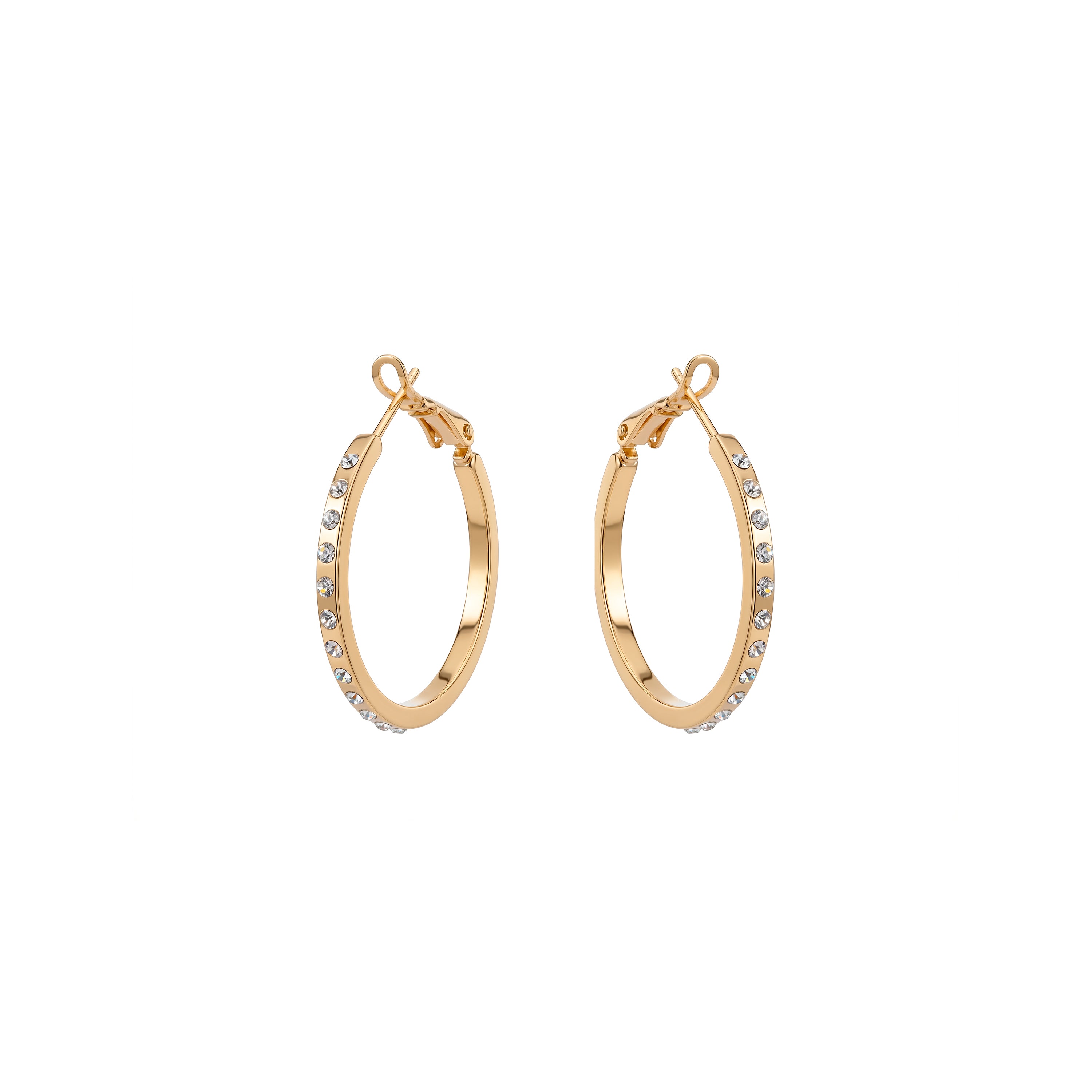 Ani Earrings 18k Yellow Gold Finish - Ani WHITE
