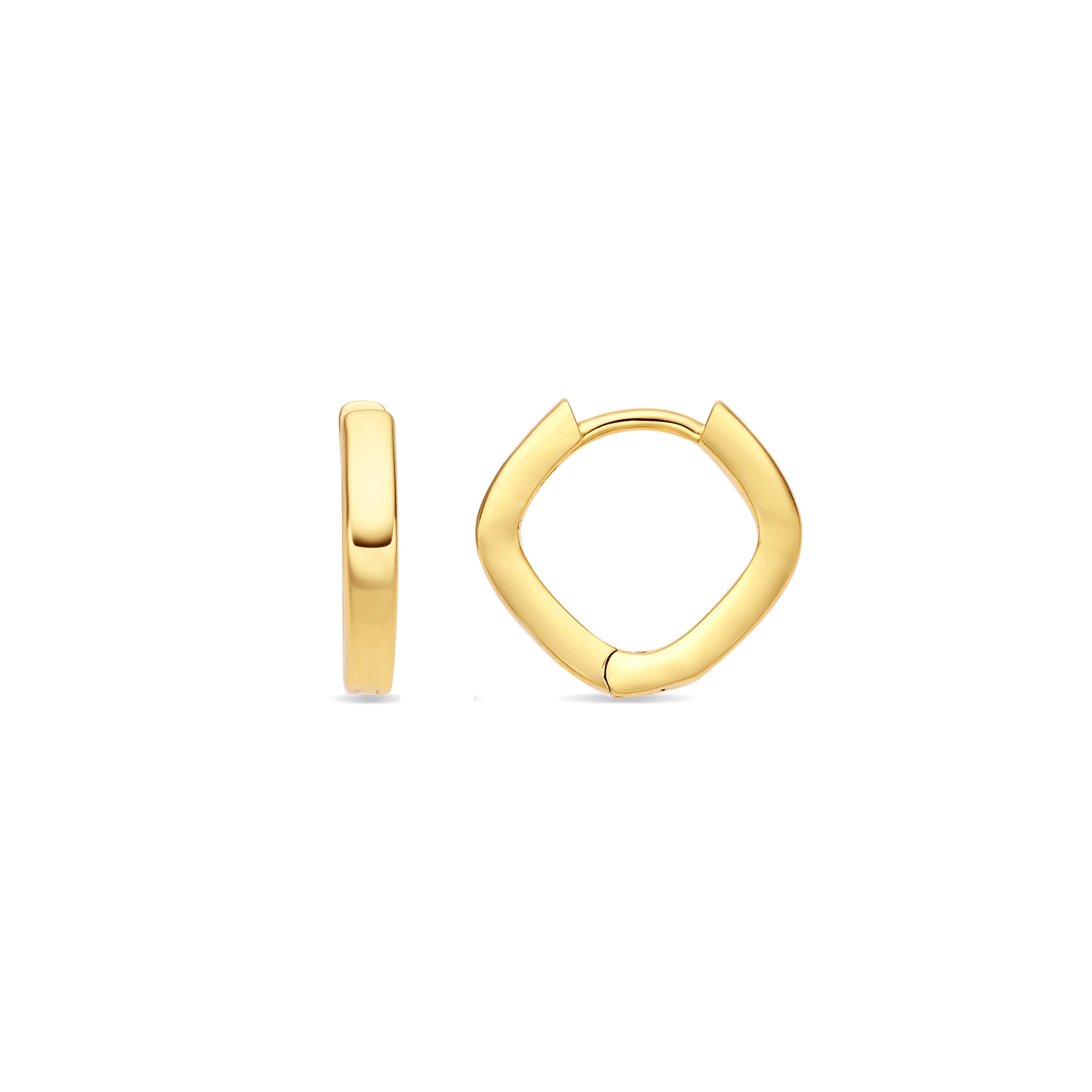 18k Yellow Gold Finish Earrings - Idrial