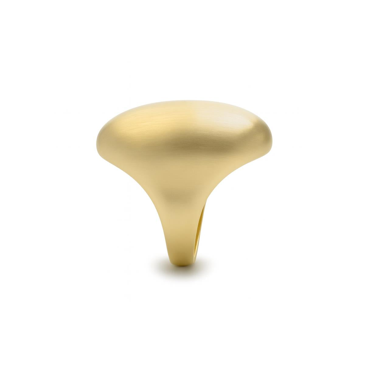 18K yellow gold finished ring - Idril