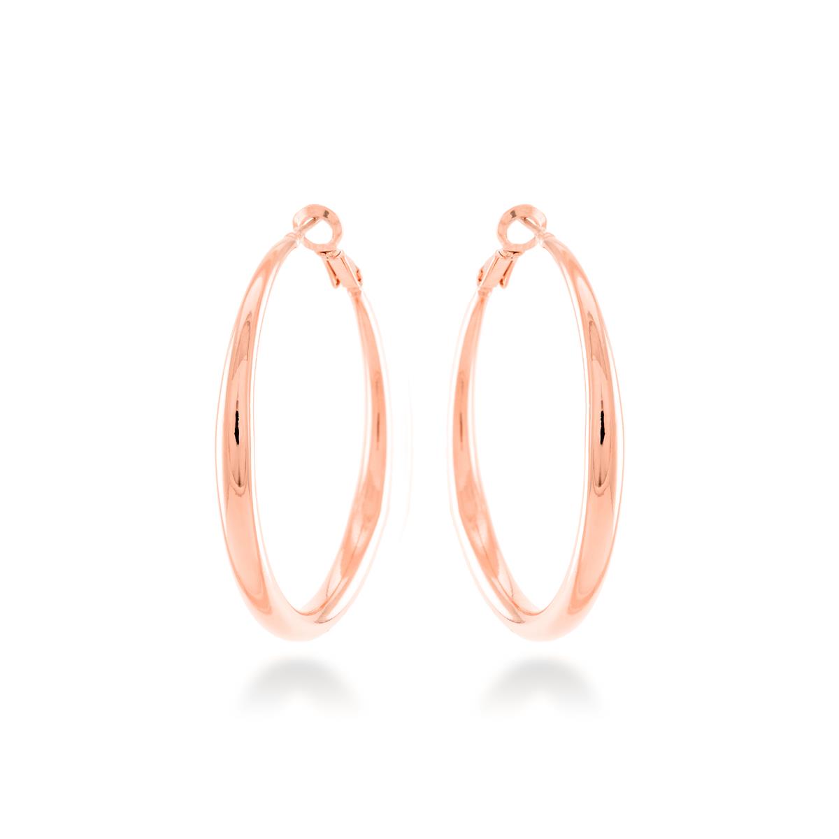 ROSA - vista 01