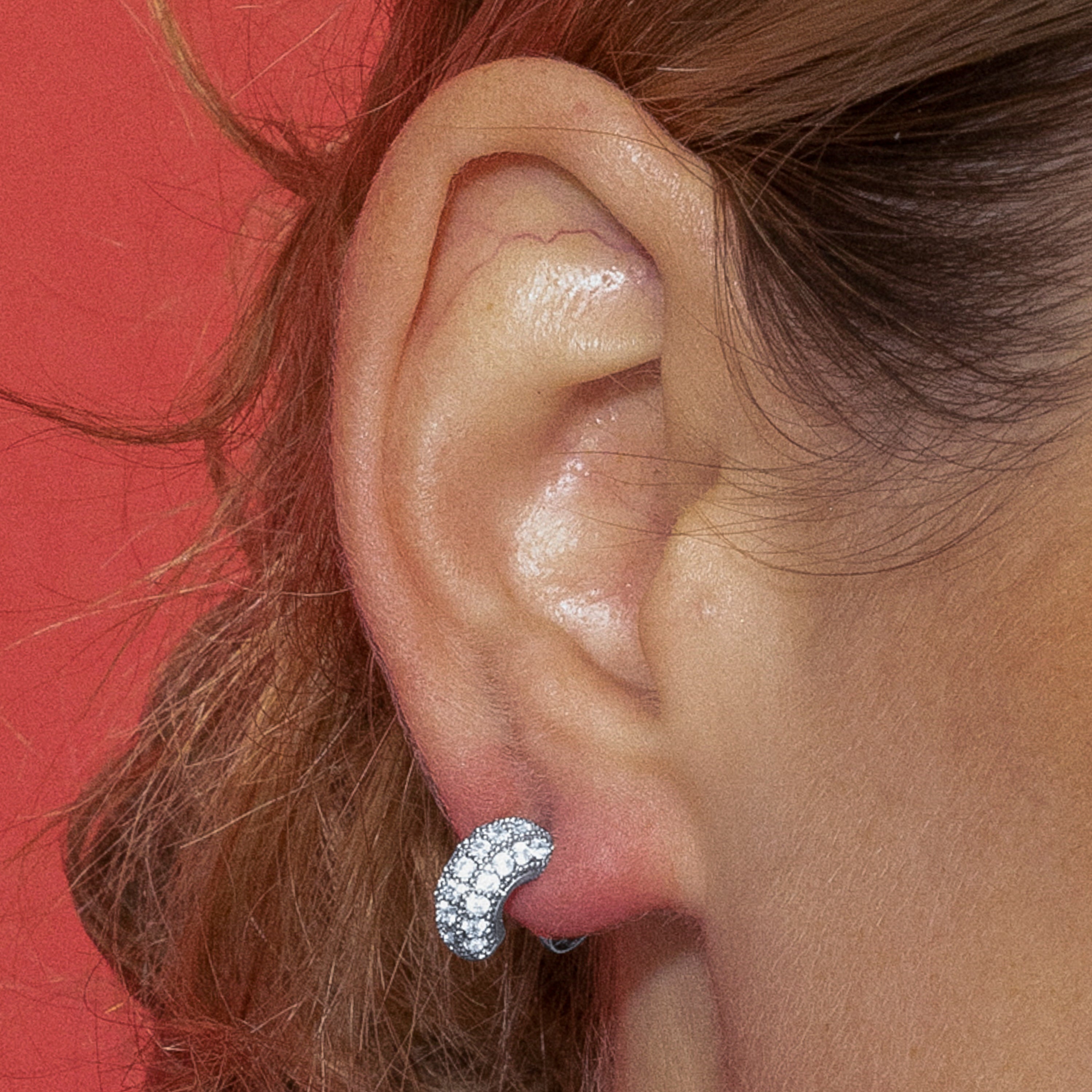 Earrings with Brilliant Zirconia silver finish - Sazia