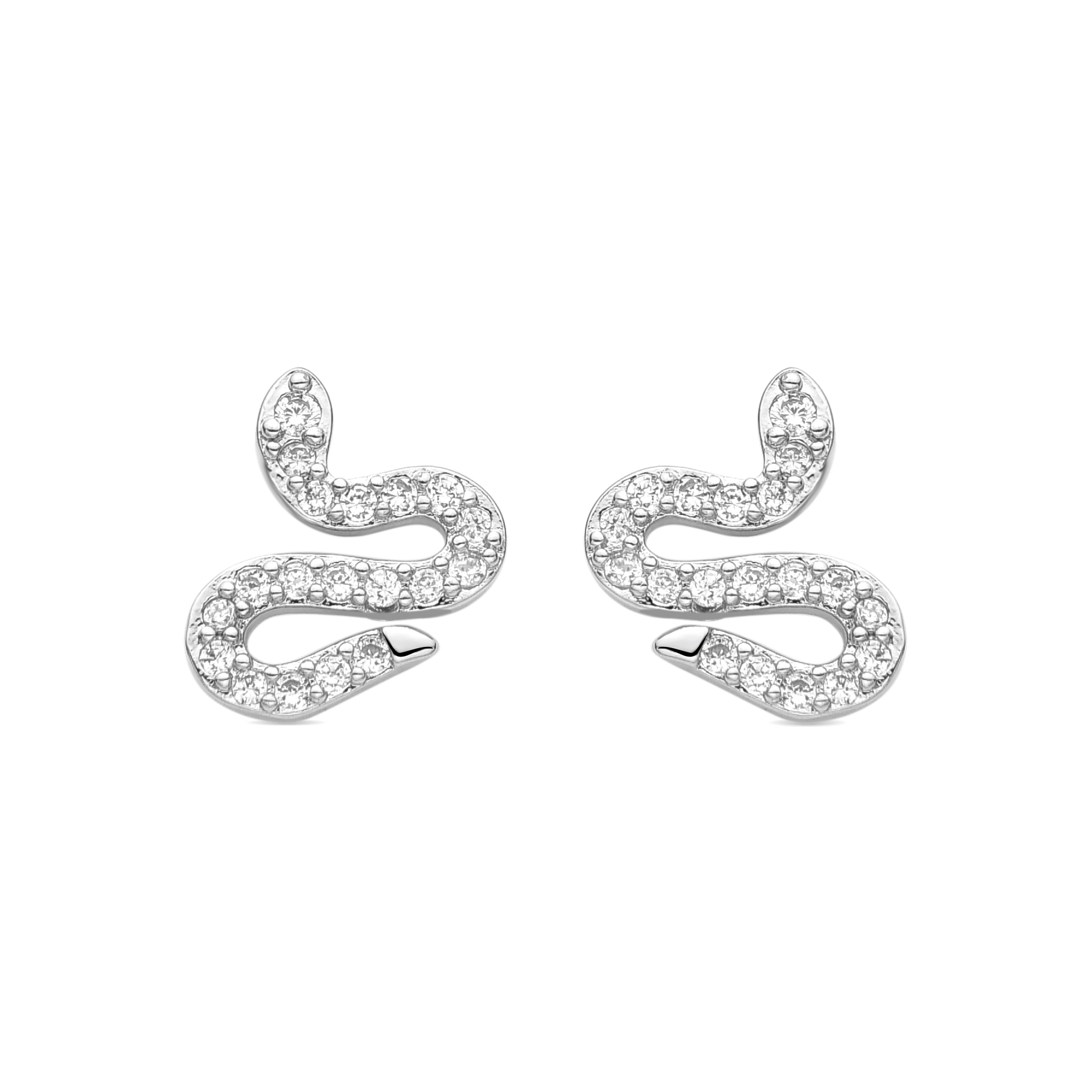 Disri silver finish earrings