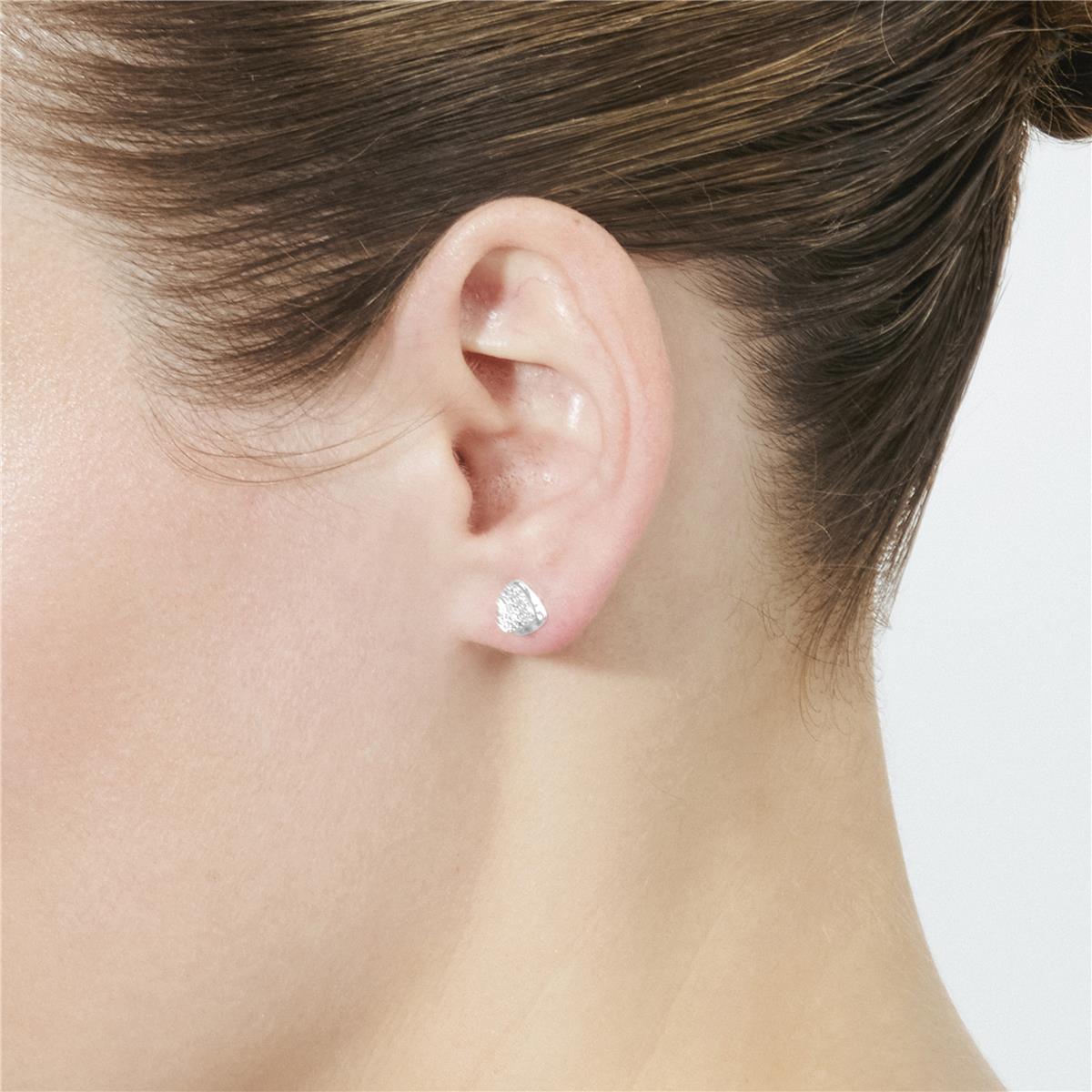 Brilliant Zirconia Earrings Silver Finish - Musa